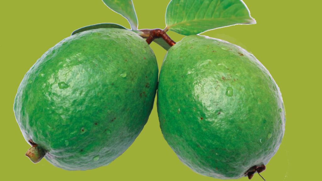 wellhealthorganic.com:5-amazing-health-benefits-of-guava